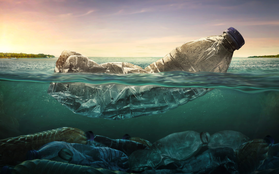 Eine Plastikflasche schwimmt im Wasser und symbolisiert die verschmutzen Meere